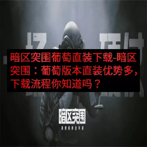 暗区突围葡萄直装下载-暗区突围：葡萄版本直装优势多，下载流程
